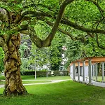 Svicarija - Terme Hotel