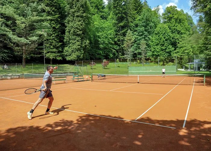 Svicarija - Terme Szálloda Dobrna